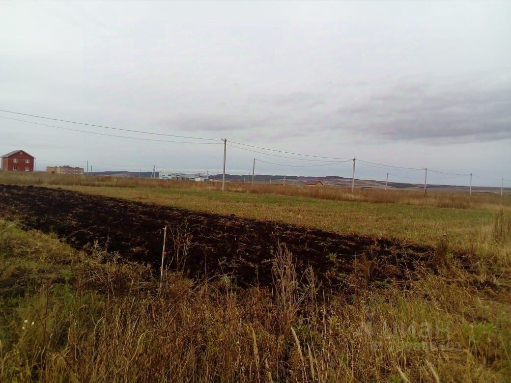 Казань сарманово. Сарманово озеро. Земельные участки в Сарманово. Луга Сарманово.