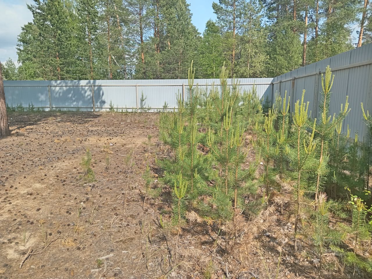 Купить загородную недвижимость в деревне Сайгатина Сургутского района,  продажа загородной недвижимости - база объявлений Циан. Найдено 5 объявлений