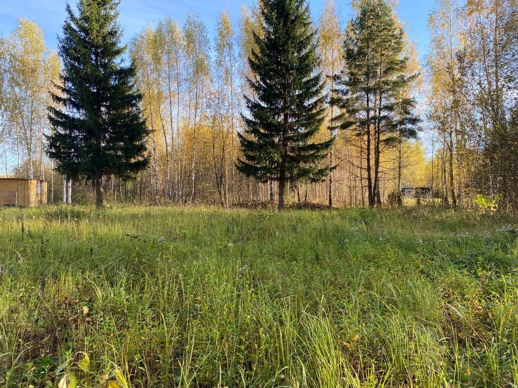 Купить загородную недвижимость в СНТ Сажени (Верейское поселение)  городского округа Орехово-Зуевского, продажа загородной недвижимости - база  объявлений Циан. Найдено 2 объявления