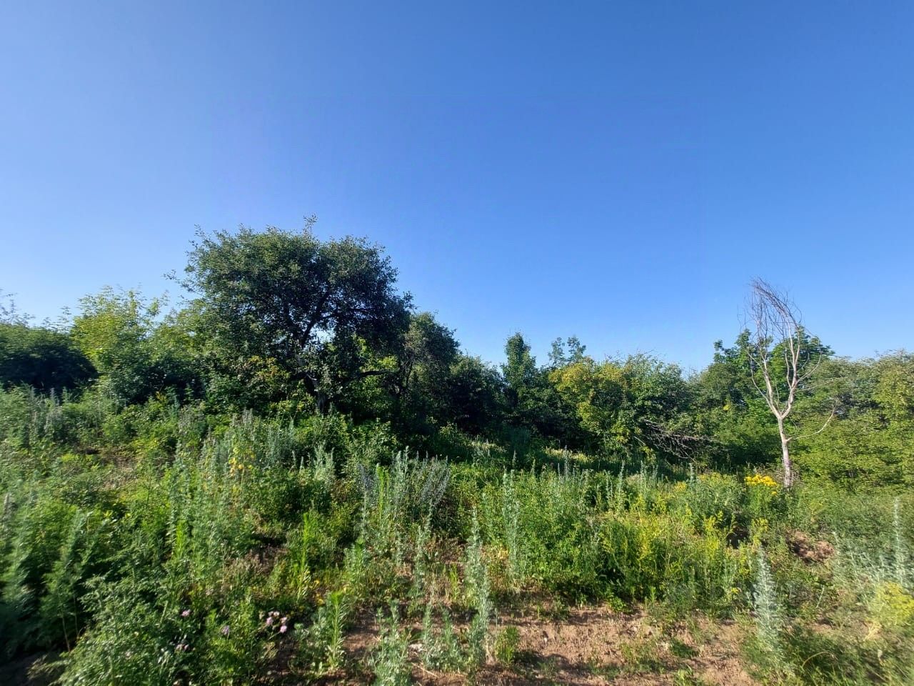 Купить участок 10сот. ул. Заречная, 13, Воронежская область, Семилуки ...