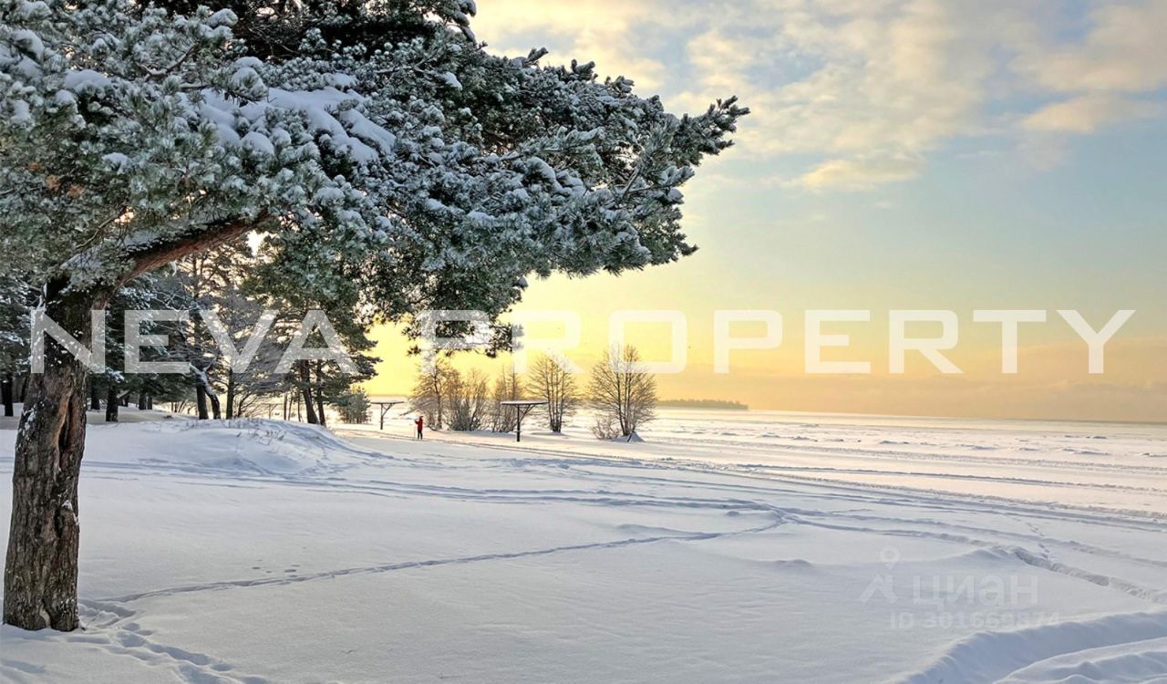 Купить загородную недвижимость на улице Курортная в городе Сестрорецк в  Санкт-Петербурге, продажа загородной недвижимости - база объявлений Циан.  Найдено 1 объявление