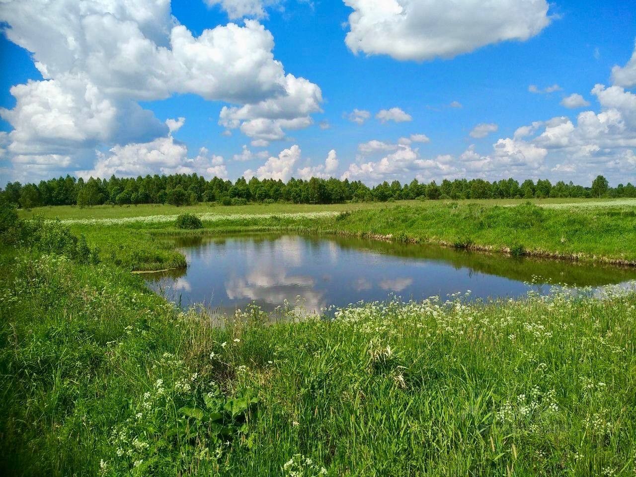 Купить загородную недвижимость в рабочем поселке Шаховская Московской  области, продажа загородной недвижимости - база объявлений Циан. Найдено 14  объявлений