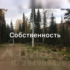 участок 12.0 сот.