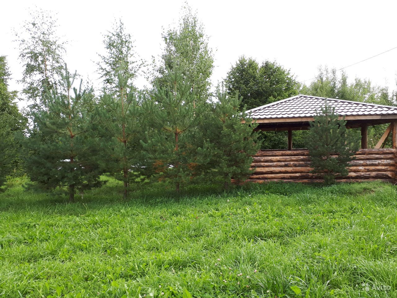 Купить загородную недвижимость в микрорайоне Шкурина Горка в городе Волхов,  продажа загородной недвижимости - база объявлений Циан. Найдено 1 объявление