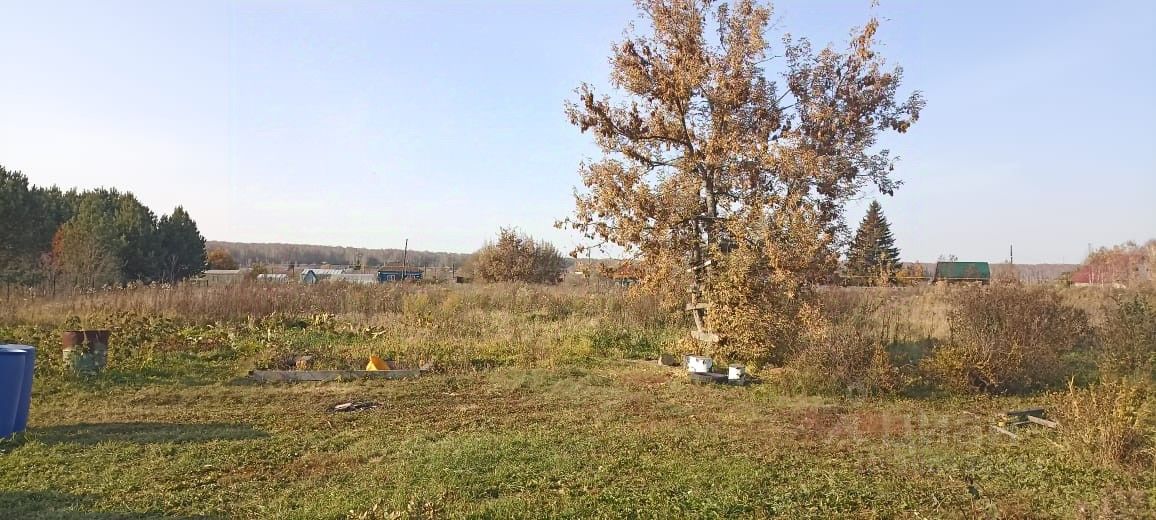 На фотографии представлена открытая территория с ухоженной травой и несколькими деревьями. Видны участки земли, возможно, подготовленные для садоводства, с небольшими грядками. Деревья с осенними листьями, некоторые из которых уже опали. Вдалеке можно увидеть строения, которые могут быть дачами или хозяйственными постройками. Цветовая гамма изображения включает зеленые и коричневые оттенки, что создает ощущение спокойствия и уюта. Пространство выглядит просторным и естественным, идеально подходящим для отдыха на природе или ведения сельского хозяйства.