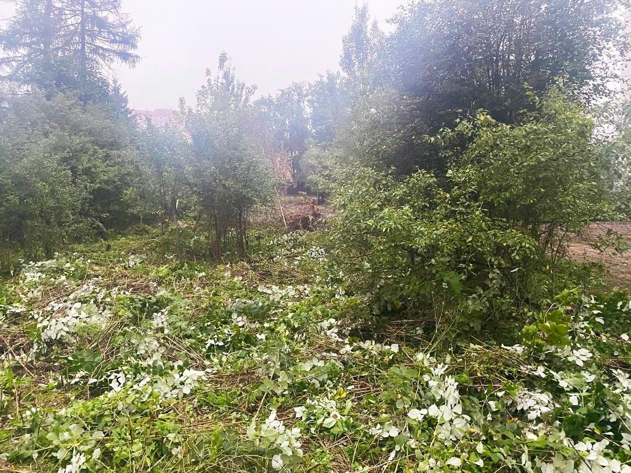 Купить загородную недвижимость в переулке 2-й Дачный в микрорайоне Сходня в  городе Химки, продажа загородной недвижимости - база объявлений Циан.  Найдено 1 объявление