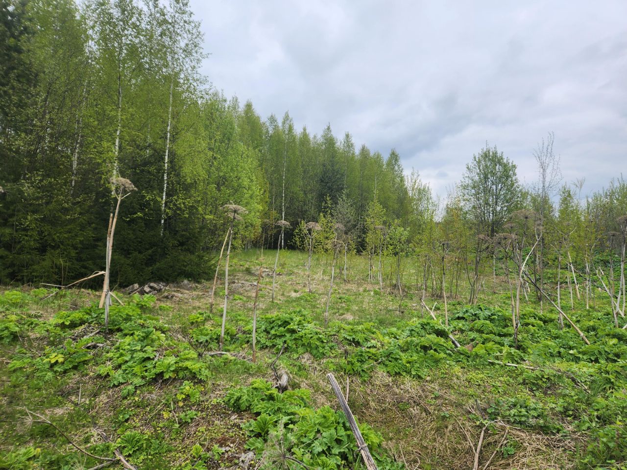 Купить загородную недвижимость в коттеджном поселке Шоколад городского  округа Истры, продажа загородной недвижимости - база объявлений Циан.  Найдено 1 объявление