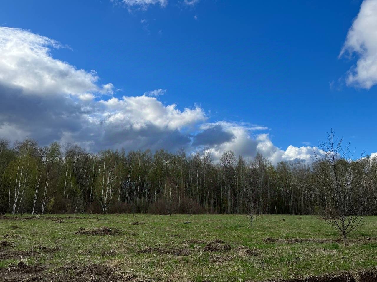 Купить загородную недвижимость в городском округе Серпухове Московской  области, продажа загородной недвижимости - база объявлений Циан. Найдено 1  854 объявления