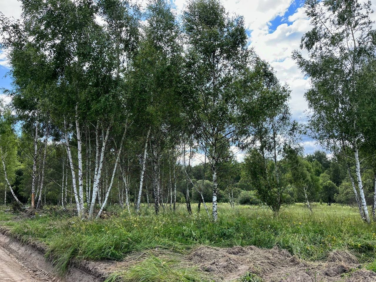 Купить загородную недвижимость в городском округе Серпухове Московской  области, продажа загородной недвижимости - база объявлений Циан. Найдено 1  854 объявления