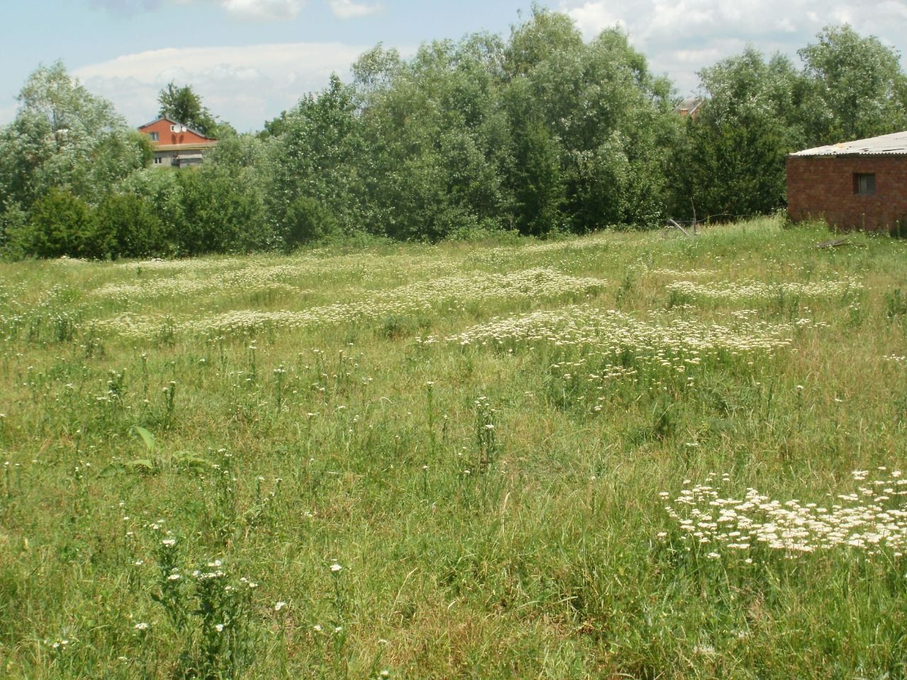 Купить Землю В Краснодаре Под Ижс