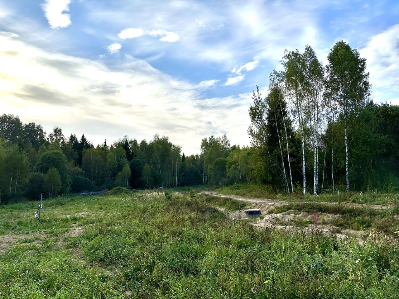 Лесное городское поселение