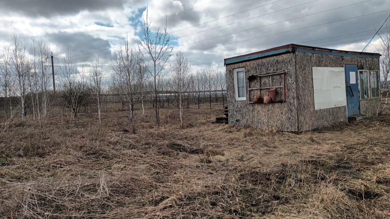 Строение выполнено в простом, функциональном стиле, с использованием деревянных панелей и металлической крыши. Видно, что фасад отделан необработанным деревом, что придаёт ему естественный вид. Окна небольшие, с рамами, окрашенными в белый цвет, а дверь выполнена в ярко-синем оттенке. Рядом с окнами расположены горшки, что указывает на возможность озеленения. Пространство вокруг строения не ухоженное, с высокой травой и редкими деревьями, что создаёт ощущение уединения и спокойствия. Общая атмосфера места напоминает дачный участок или садовый домик.