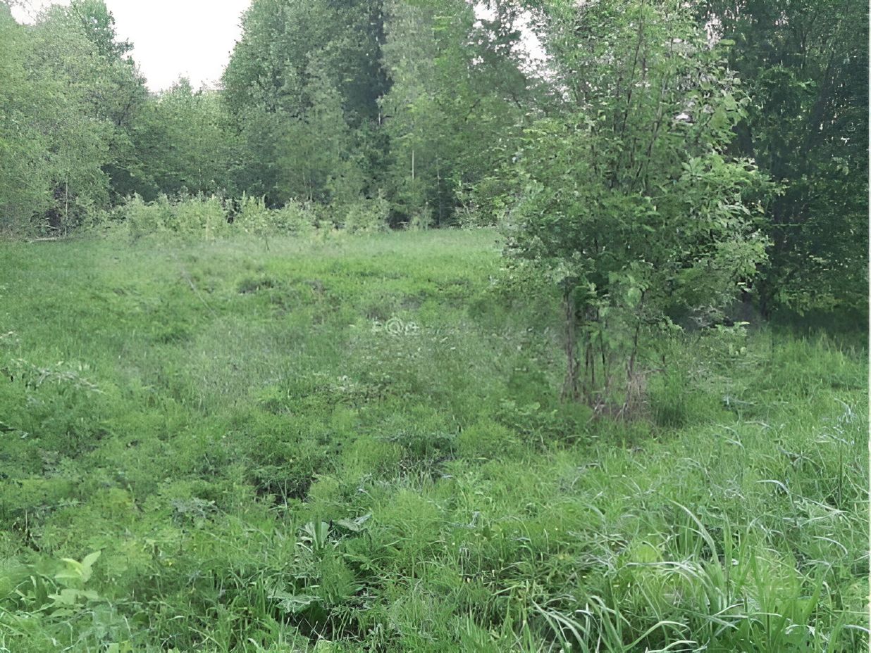 Купить дачный участок в городском округе Воротынском Нижегородской области,  продажа участков для дачи. Найдено 54 объявления.