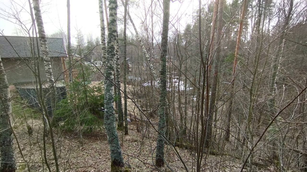 Купить загородную недвижимость в поселке Сосново Приозерского района,  продажа загородной недвижимости - база объявлений Циан. Найдено 76  объявлений