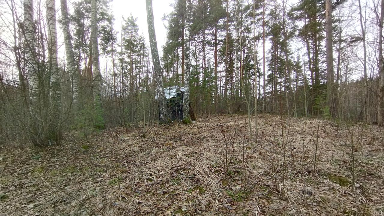 Купить загородную недвижимость в переулке Тихий в поселке Сосново, продажа  загородной недвижимости - база объявлений Циан. Найдено 3 объявления