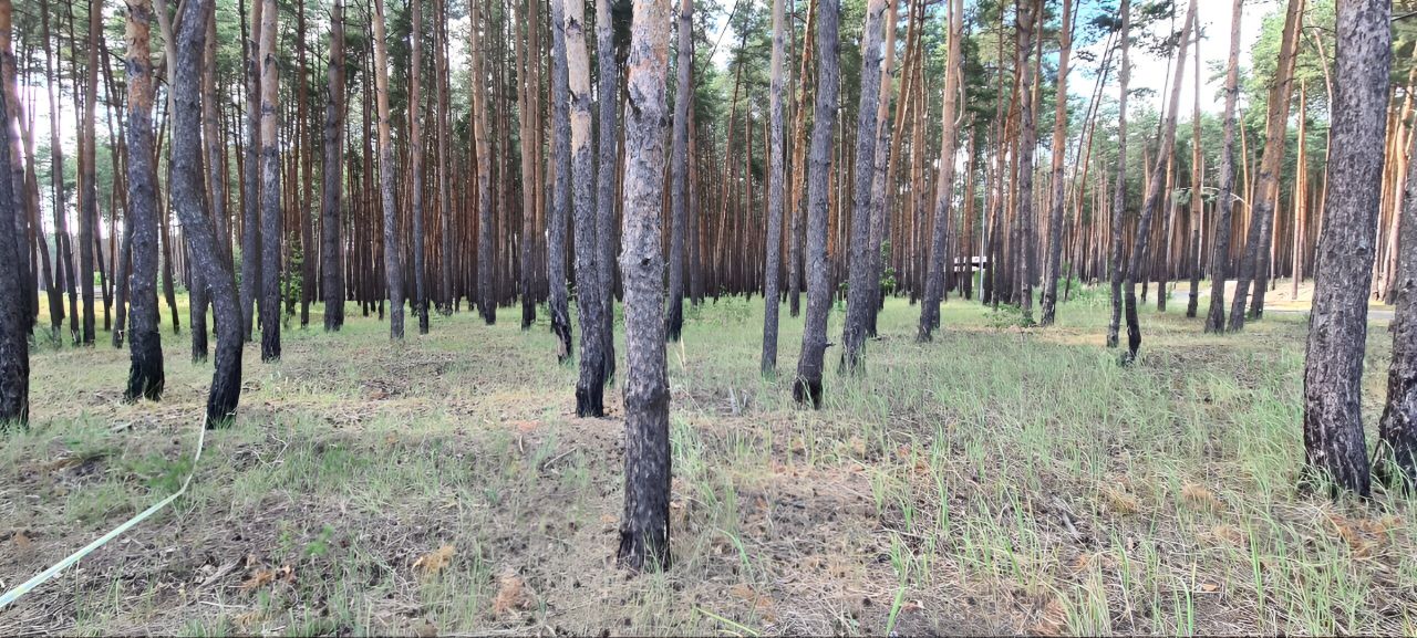 Купить Земельный Участок В Разумном Белгородского Района