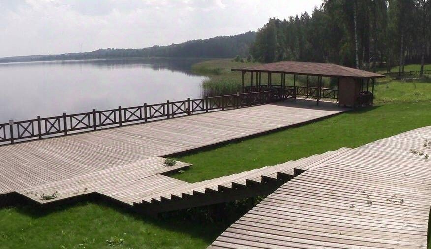 Кп хвойный