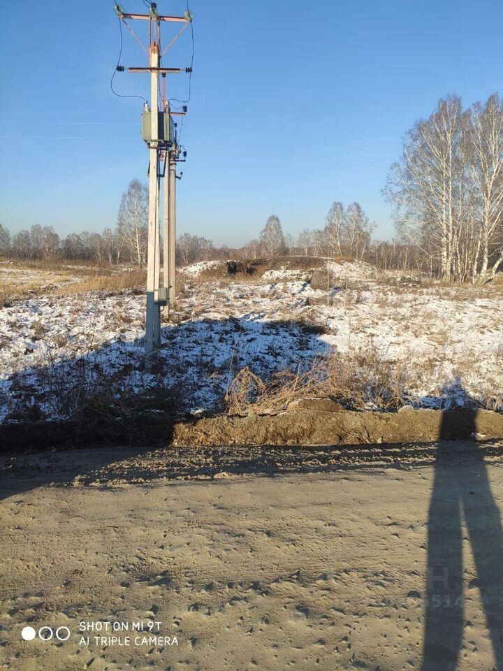 На фотографии виден участок земли с незначительным снежным покровом и обнаженной почвой. В центре композиции расположена электрическая опора с трансформатором, окруженная редкими деревьями, в основном березами. Почва выглядит рыхлой и слегка влажной, с видимыми следами от колес. Вдалеке можно заметить небольшие холмы, покрытые травой и кустарниками, создающими естественный ландшафт. Общая атмосфера пространства спокойная, с ясным небом и отсутствием строений, что подчеркивает природный характер данной местности.