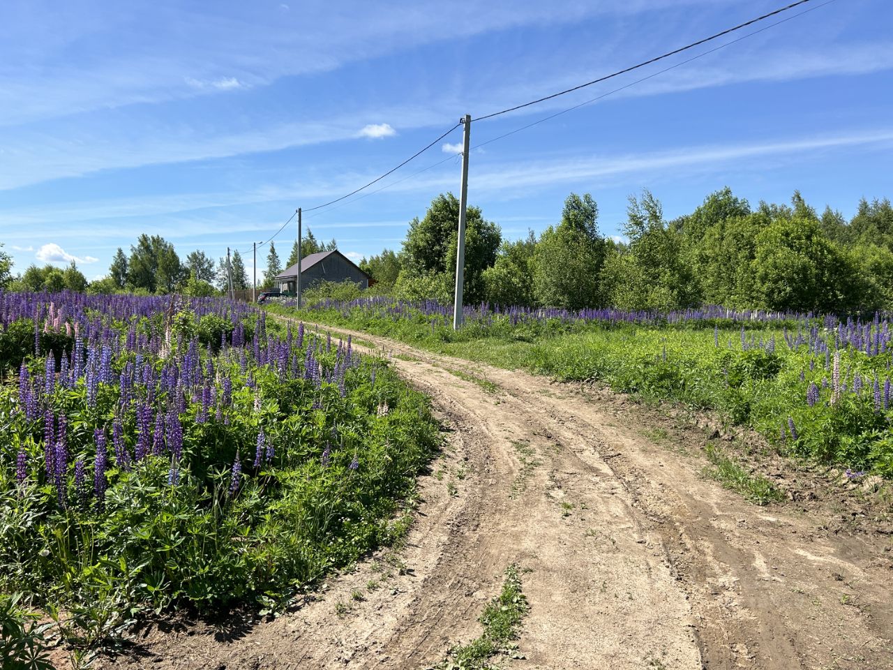 Купить земельный участок в поселке Совхоз Правда города Александрова,  продажа земельных участков - база объявлений Циан. Найдено 2 объявления