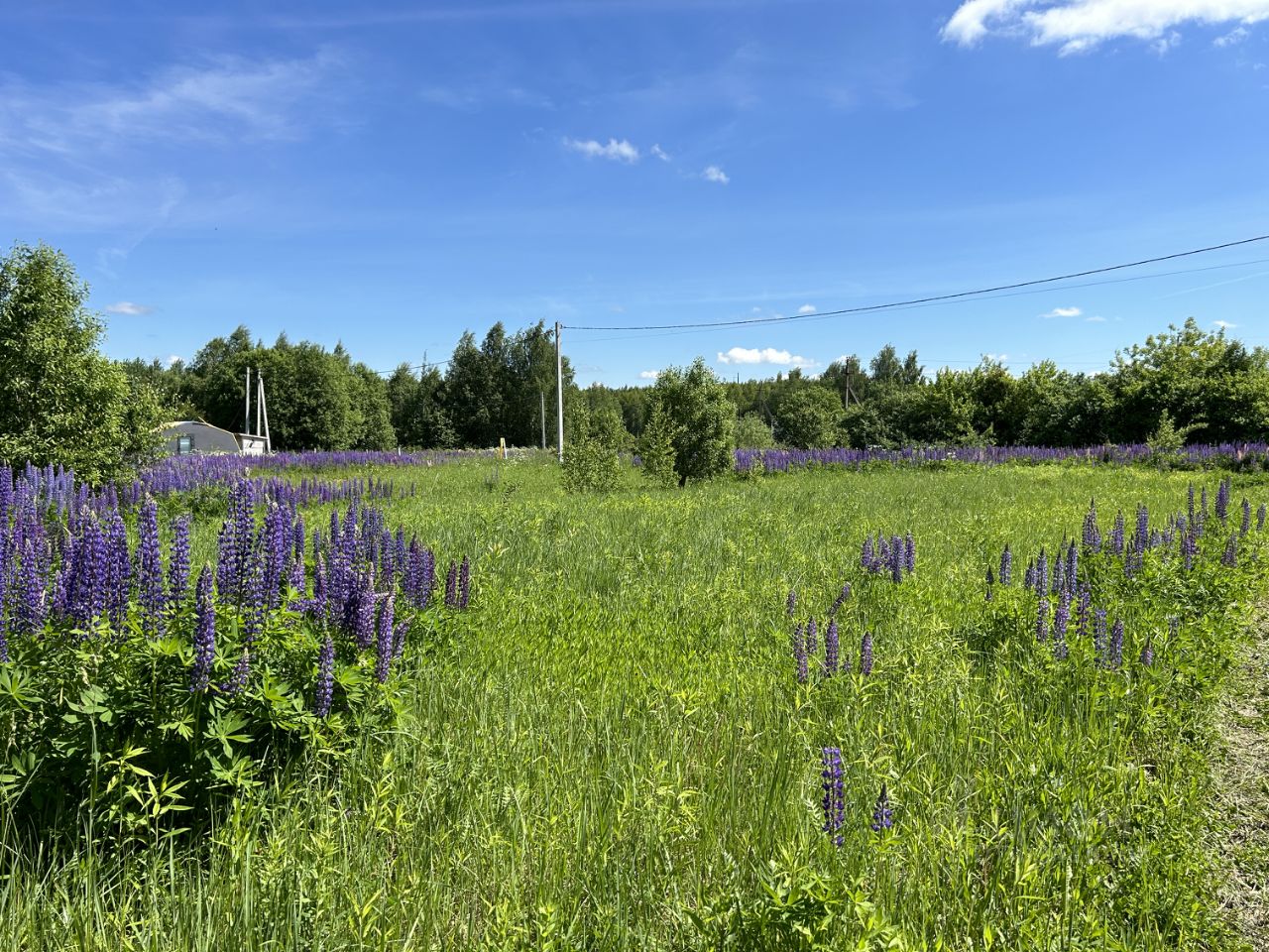 Купить загородную недвижимость в поселке Совхоз Правда города Александрова,  продажа загородной недвижимости - база объявлений Циан. Найдено 5 объявлений