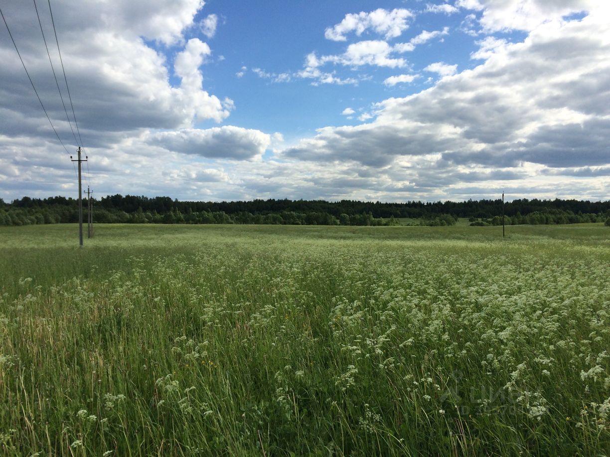 Купить загородную недвижимость в деревне Старая Середка Лужского района,  продажа загородной недвижимости - база объявлений Циан. Найдено 5 объявлений