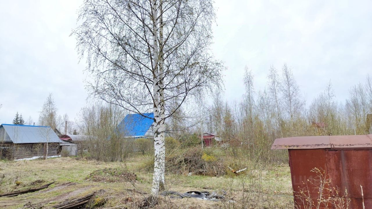 Купить земельный участок в деревне Стрелка Новгородского района, продажа  земельных участков - база объявлений Циан. Найдено 12 объявлений