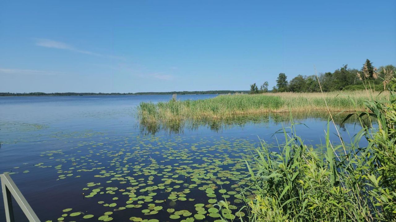 Купить загородную недвижимость в поселке Судаково Приозерского района,  продажа загородной недвижимости - база объявлений Циан. Найдено 13  объявлений