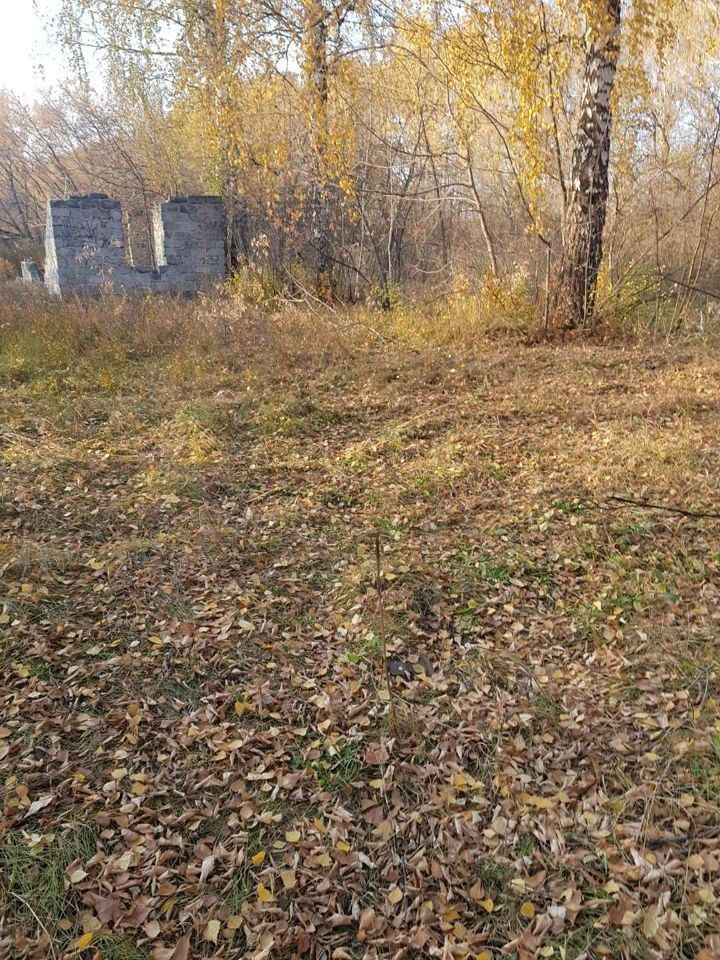 На фотографии видны остатки каменной структуры с двумя открытыми проемами, что указывает на бывшую стену. Окружающая территория покрыта опавшей листвой, создающей осеннюю атмосферу. Вокруг растут деревья с желтой листвой, что добавляет яркие акценты к общему виду. Структура выглядит заброшенной, с нечеткими краями и частично заросшими местами, что подчеркивает естественный процесс разрушения. Природные материалы, такие как камень и древесина, доминируют в этом пространстве, создавая контраст с мягкой текстурой земли, усыпанной листьями.