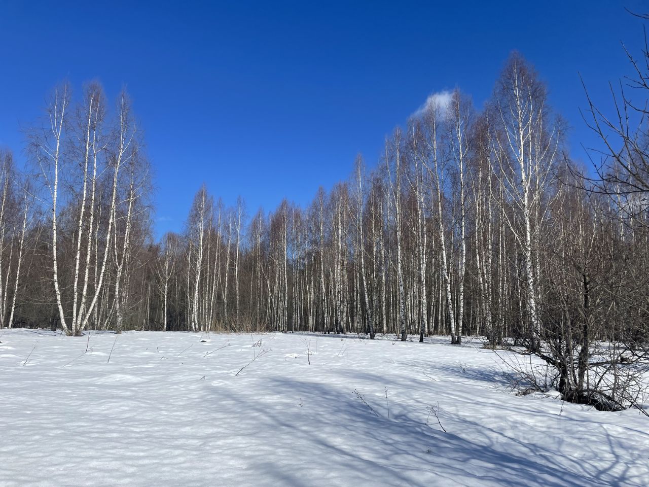 Купить земельный участок в деревне Таблово Московской области, продажа  земельных участков - база объявлений Циан. Найдено 4 объявления