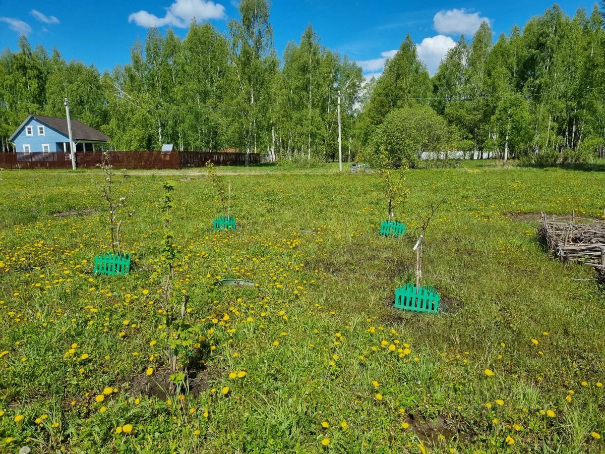 Купить земельный участок в деревне Тетерево Тульской области, продажа  земельных участков - база объявлений Циан. Найдено 37 объявлений