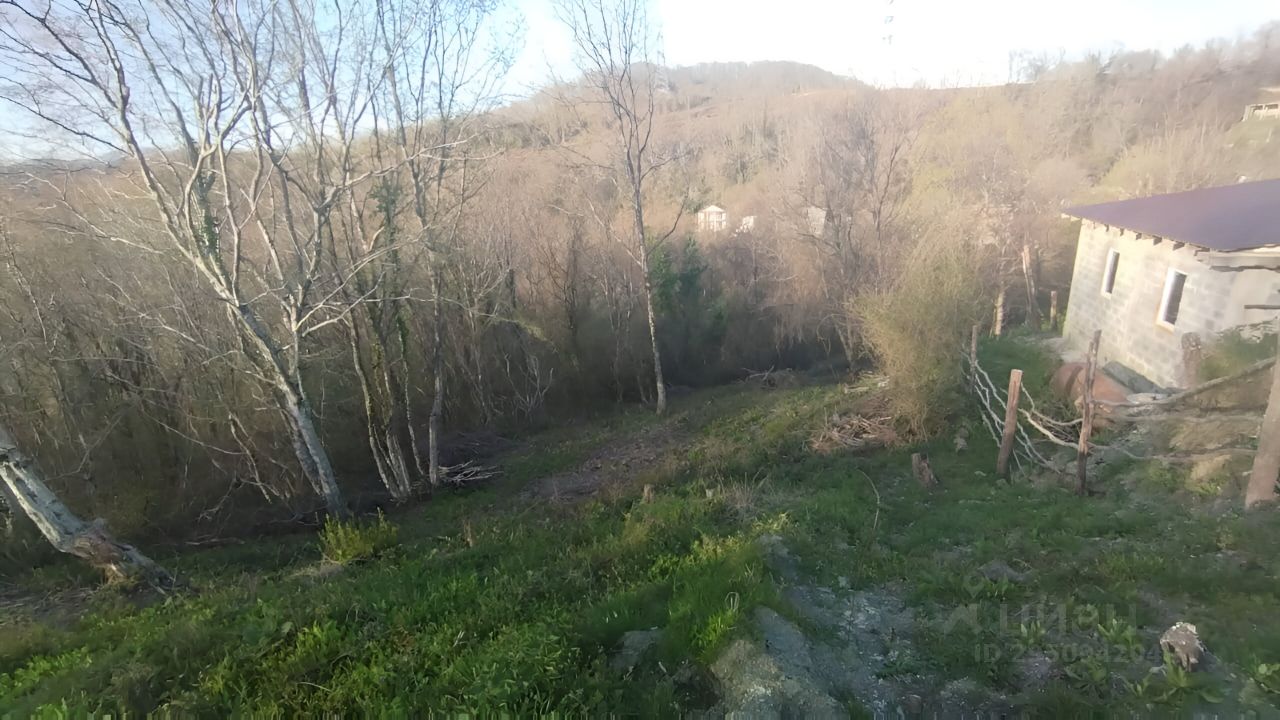 Купить загородную недвижимость в садовое товарищество Тополек в городе Сочи,  продажа загородной недвижимости - база объявлений Циан. Найдено 2 объявления