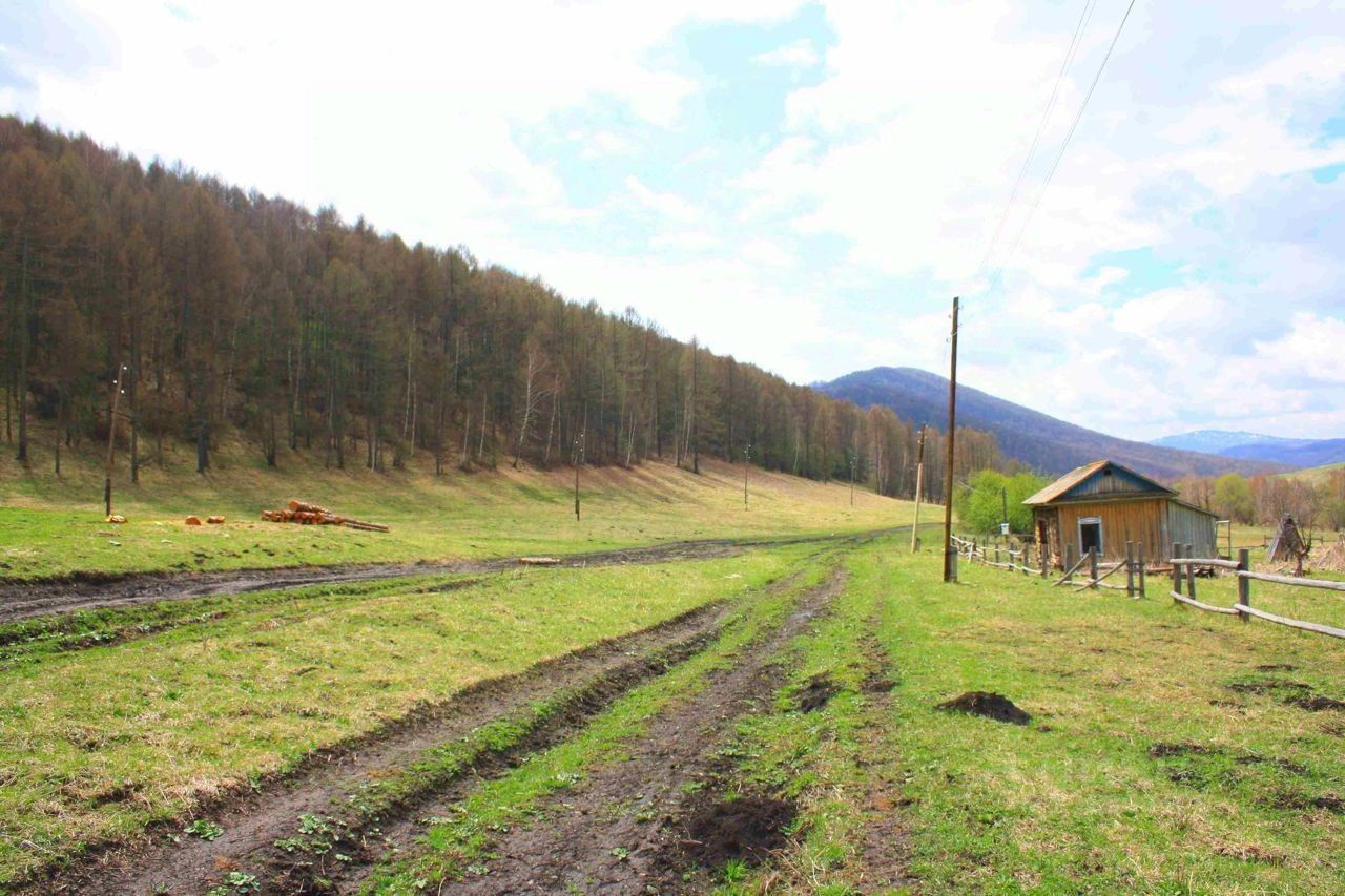 Купить загородную недвижимость в селе Тоурак Алтайского района, продажа  загородной недвижимости - база объявлений Циан. Найдено 3 объявления