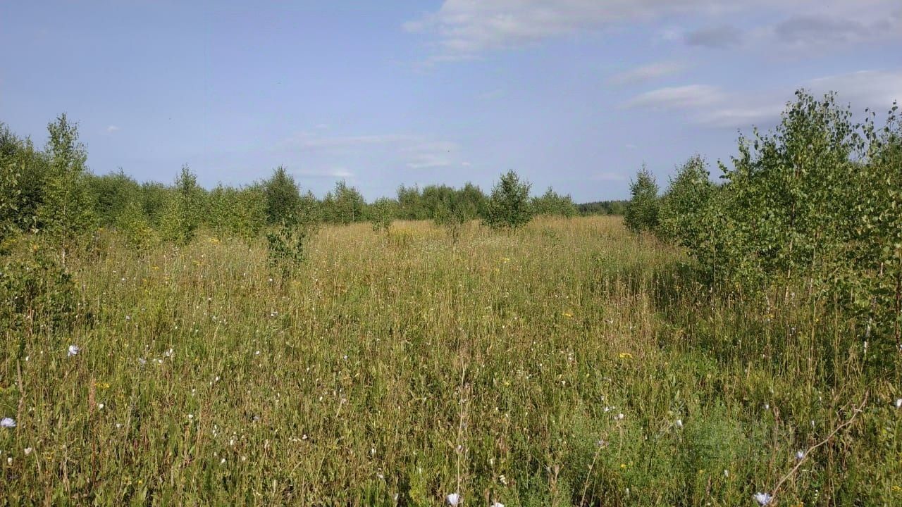 Купить загородную недвижимость в переулке Лесной в деревне Трестьяны,  продажа загородной недвижимости - база объявлений Циан. Найдено 2 объявления