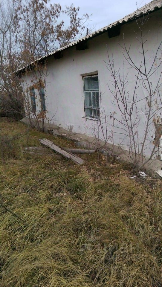 Стена дома имеет простой архитектурный стиль с гладкой оштукатуренной поверхностью. Окна с деревянными рамами и стеклопакетами, окрашенными в светло-голубой цвет, создают контраст с нейтральным цветом стен. Крыша с небольшим свесом выполнена из металлочерепицы. Вокруг видны участки неприбранной травы и небольшие кустарники, что придаёт участку заброшенный вид. Наличие деревянных брусьев на земле указывает на возможные строительные работы или ремонт. Общая атмосфера пространства кажется заброшенной и требует ухода.
