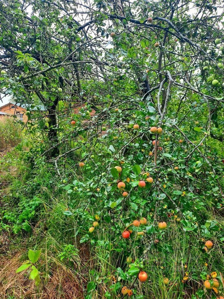 Купить участок 9сот. 6-я линия, Ленинградская область, Киришский район ...