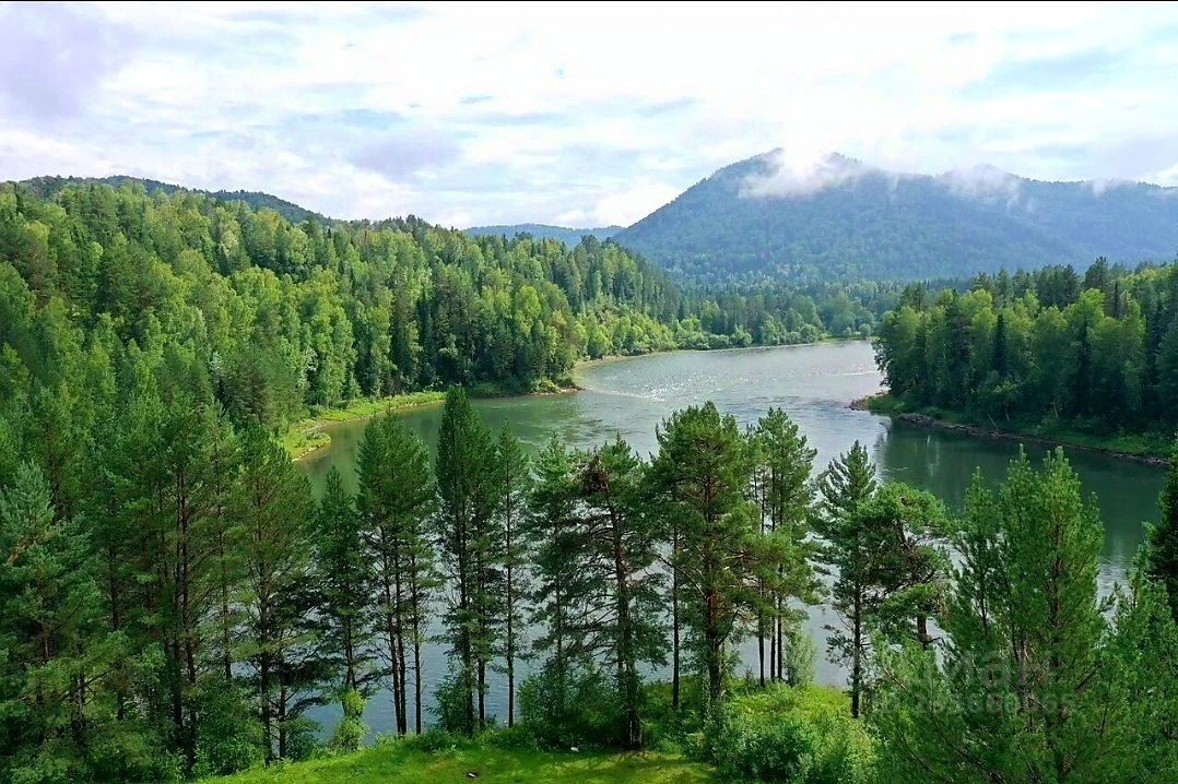 Купить Участок На Алтае Чемальский Район