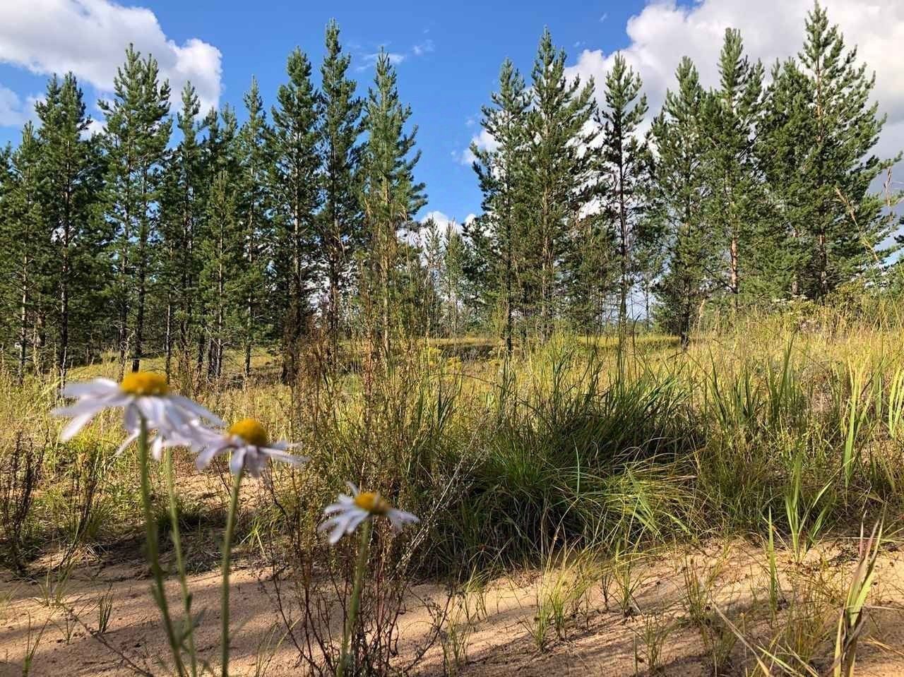 Купить загородную недвижимость на тракте Спиртзаводской в городе Улан-Удэ,  продажа загородной недвижимости - база объявлений Циан. Найдено 30  объявлений