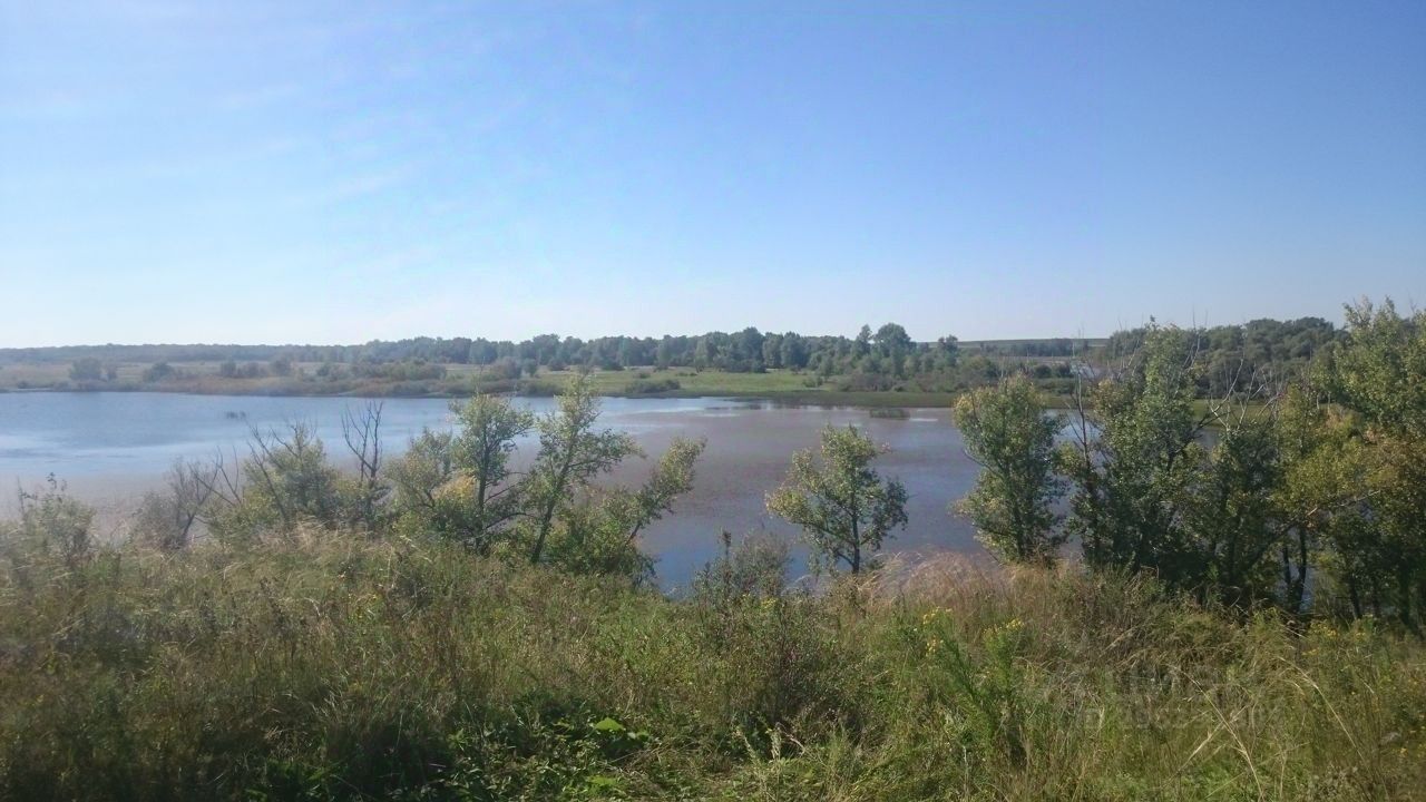 Купить загородную недвижимость в селе Усть-Калманка Алтайского края,  продажа загородной недвижимости - база объявлений Циан. Найдено 3 объявления