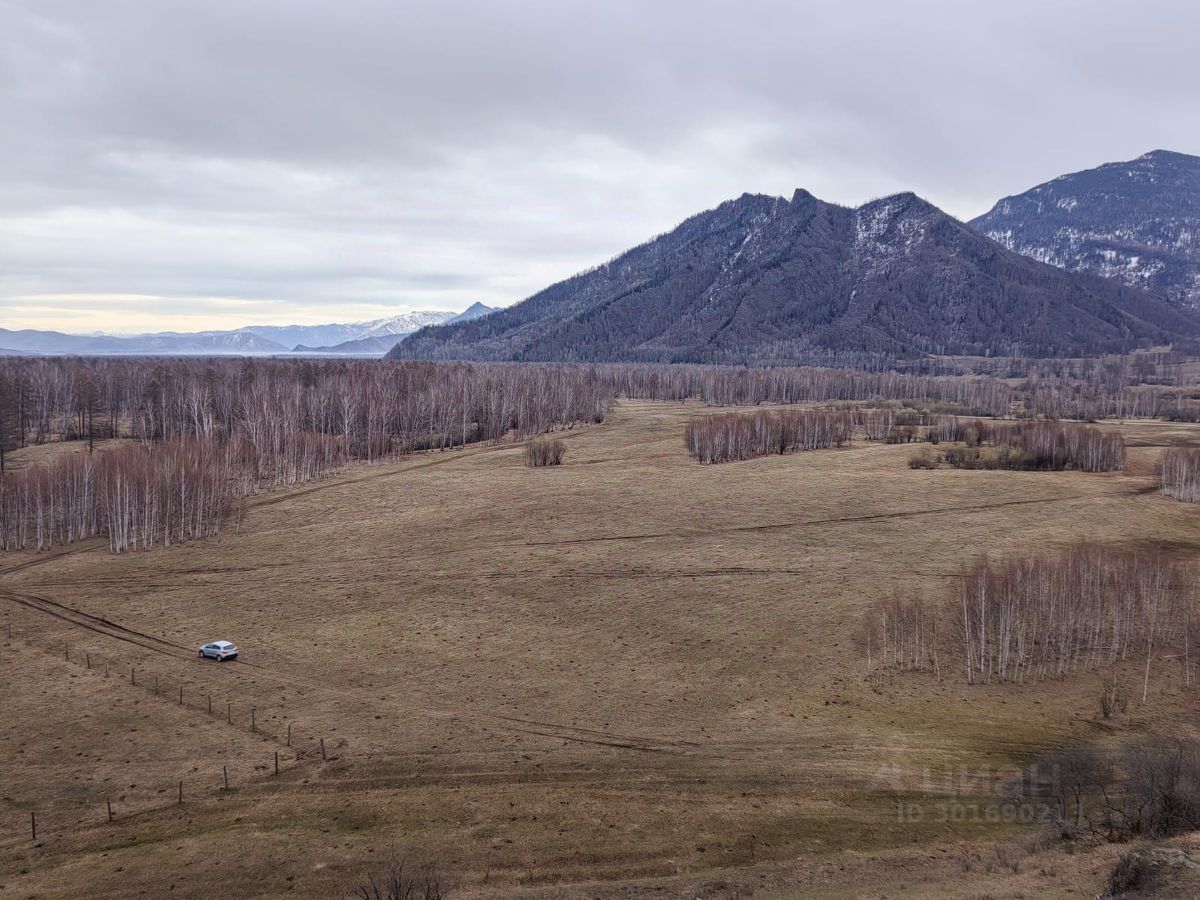 Купить загородную недвижимость в селе Усть-Кокса республики Алтай, продажа  загородной недвижимости - база объявлений Циан. Найдено 34 объявления