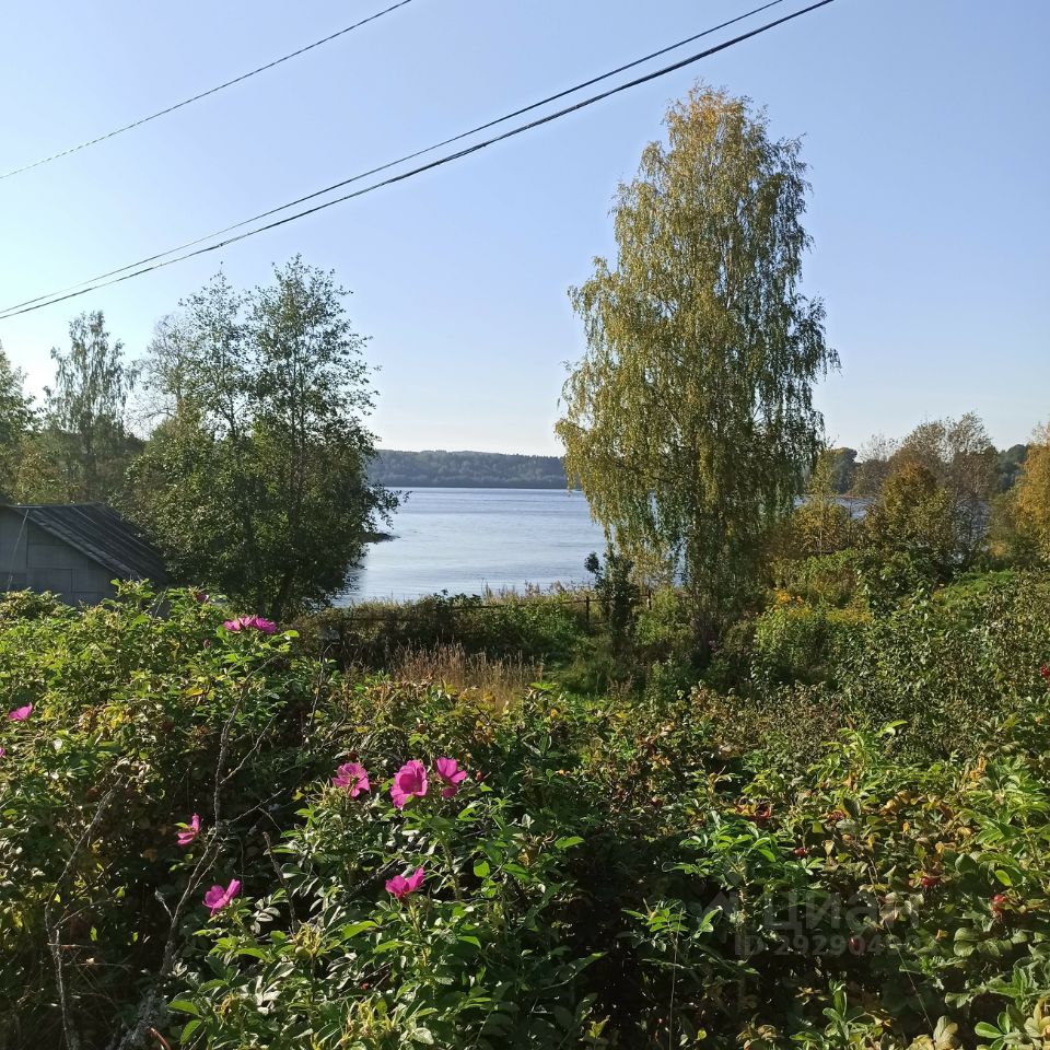 Купить загородную недвижимость в поселке Варбеги Подпорожского района,  продажа загородной недвижимости - база объявлений Циан. Найдено 1 объявление