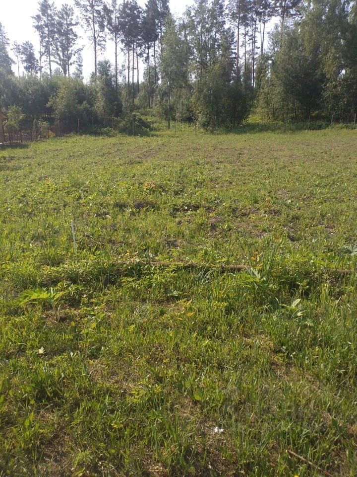 На фотографии представлено открытое пространство с зелёной травой и растительностью. Видны участки земли, покрытые густым травяным покровом, среди которого встречаются мелкие растения. Вдали заметны деревья, создающие естественную границу участка. Структурные элементы не выделены, так как акцент сделан на ландшафт. Цветовая палитра преимущественно зелёная, с различными оттенками травы и листвы. Общая атмосфера пространства спокойная и естественная, что делает его подходящим для создания загородного жилья или сада.