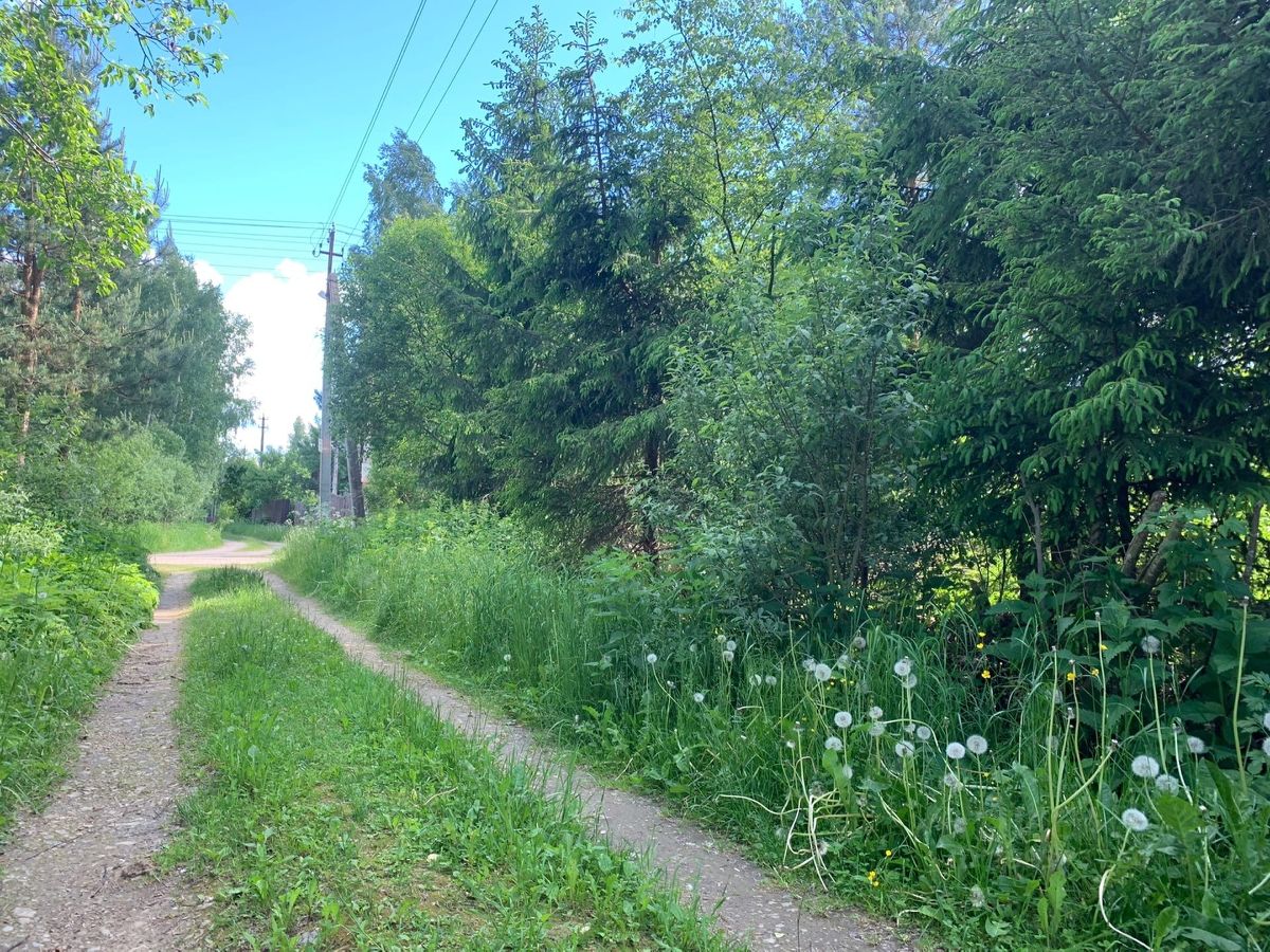 Купить загородную недвижимость в СНТ Верея западнее д. Митяево городского  округа Наро-Фоминского, продажа загородной недвижимости - база объявлений  Циан. Найдено 2 объявления