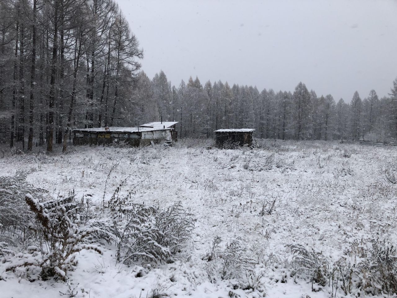 Купить загородную недвижимость в Ермаковском районе Красноярского края,  продажа загородной недвижимости - база объявлений Циан. Найдено 22  объявления