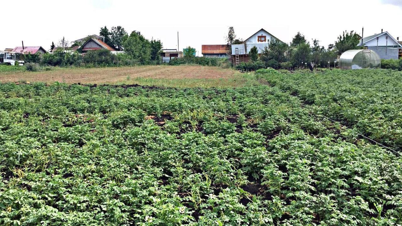 Купить земельный участок в селе Верхний Такермен Мензелинского района,  продажа земельных участков - база объявлений Циан. Найдено 6 объявлений