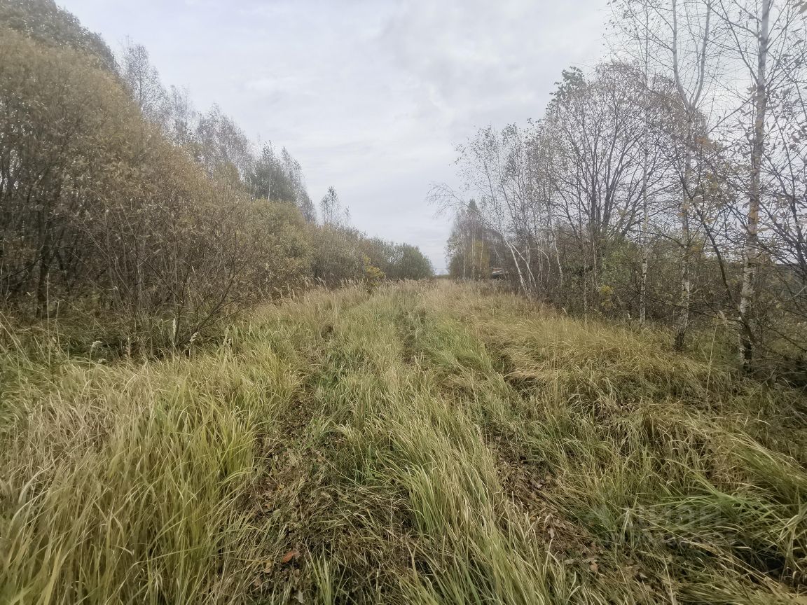 Купить загородную недвижимость в деревне Веселево Московской области,  продажа загородной недвижимости - база объявлений Циан. Найдено 5 объявлений