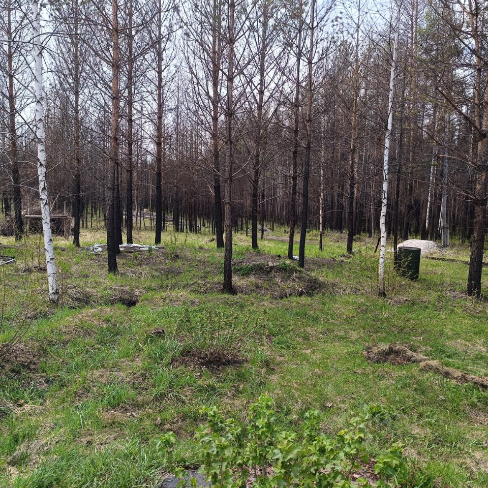 Купить загородную недвижимость в СНТ Ветеран городского округа Верхней  Пышмы, продажа загородной недвижимости - база объявлений Циан. Найдено 3  объявления