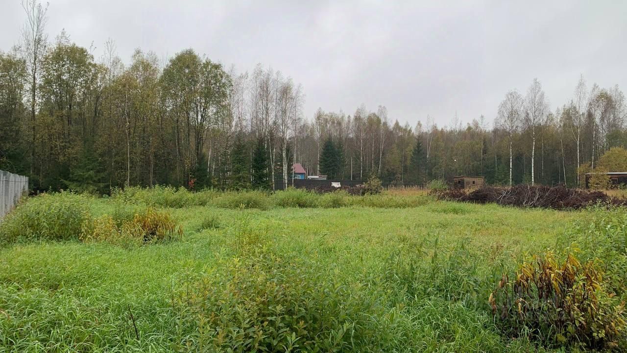 Купить загородную недвижимость в СНТ Ветеран Звенящие кедры городского  округа Наро-Фоминского, продажа загородной недвижимости - база объявлений  Циан. Найдено 1 объявление