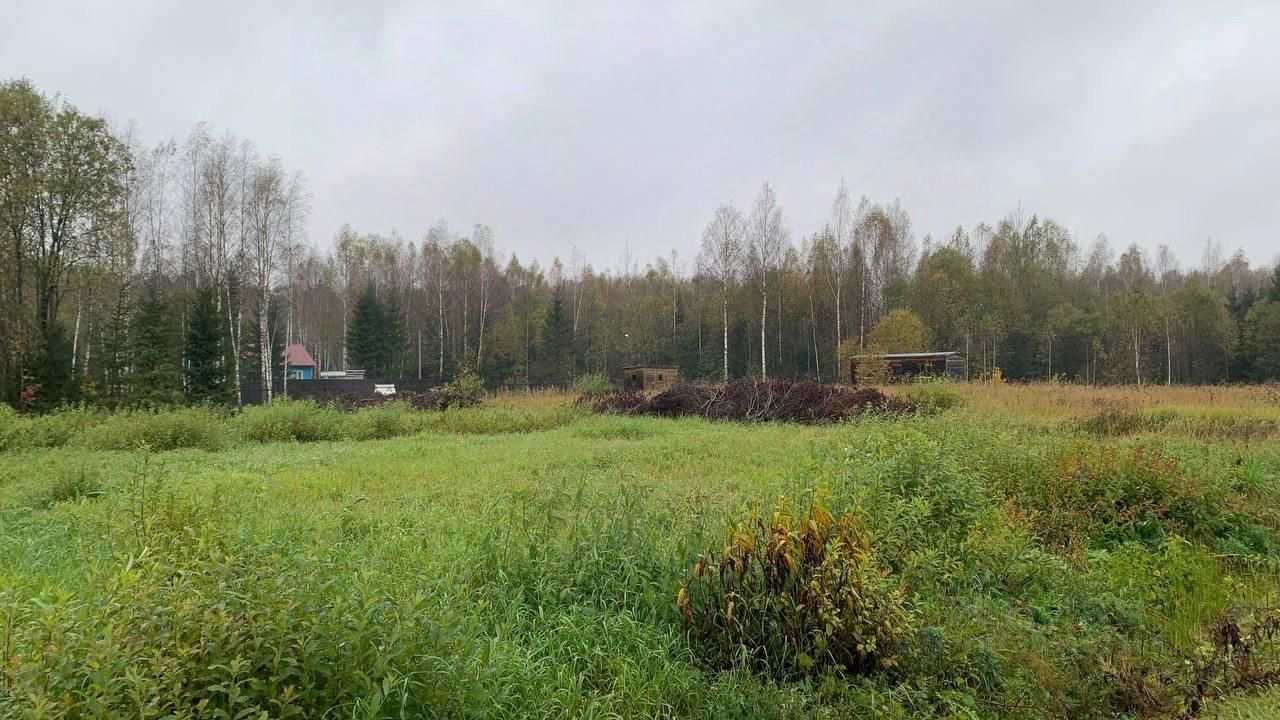 Купить загородную недвижимость в СНТ Ветеран Звенящие кедры городского  округа Наро-Фоминского, продажа загородной недвижимости - база объявлений  Циан. Найдено 1 объявление