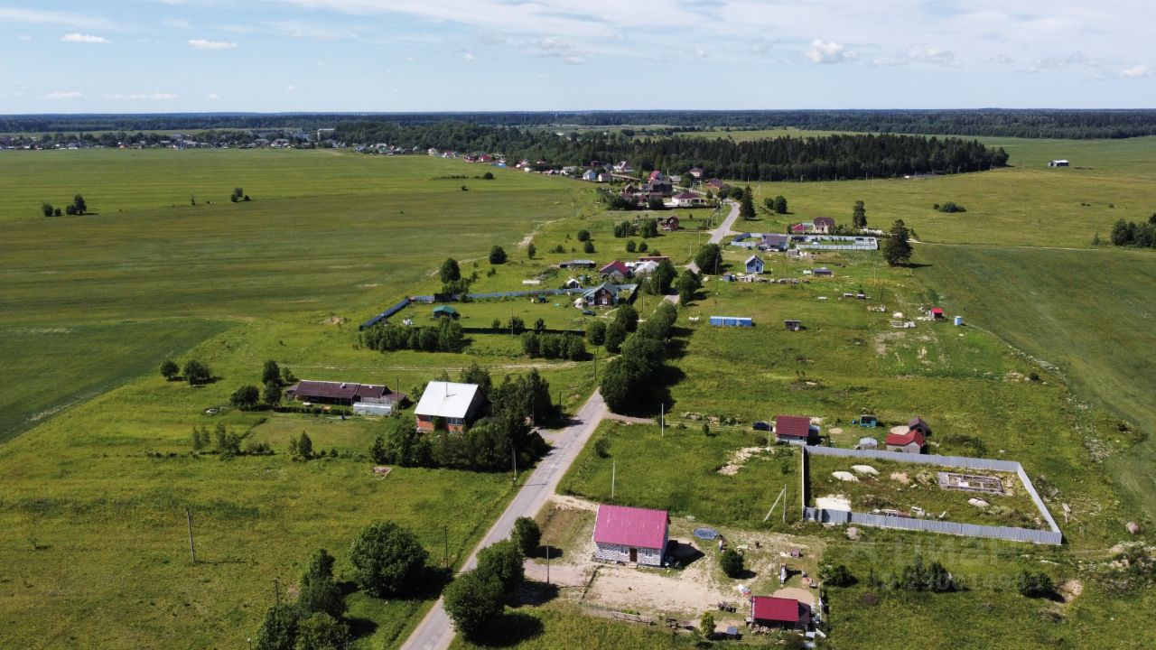 Купить земельный участок в деревне Везиково Волосовского района, продажа  земельных участков - база объявлений Циан. Найдено 4 объявления