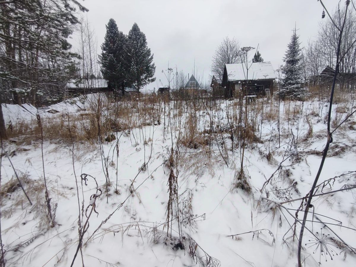 Купить загородную недвижимость в садовое товарищество Виктория в  муниципальном образовании Выльгорт, продажа загородной недвижимости - база  объявлений Циан. Найдено 4 объявления